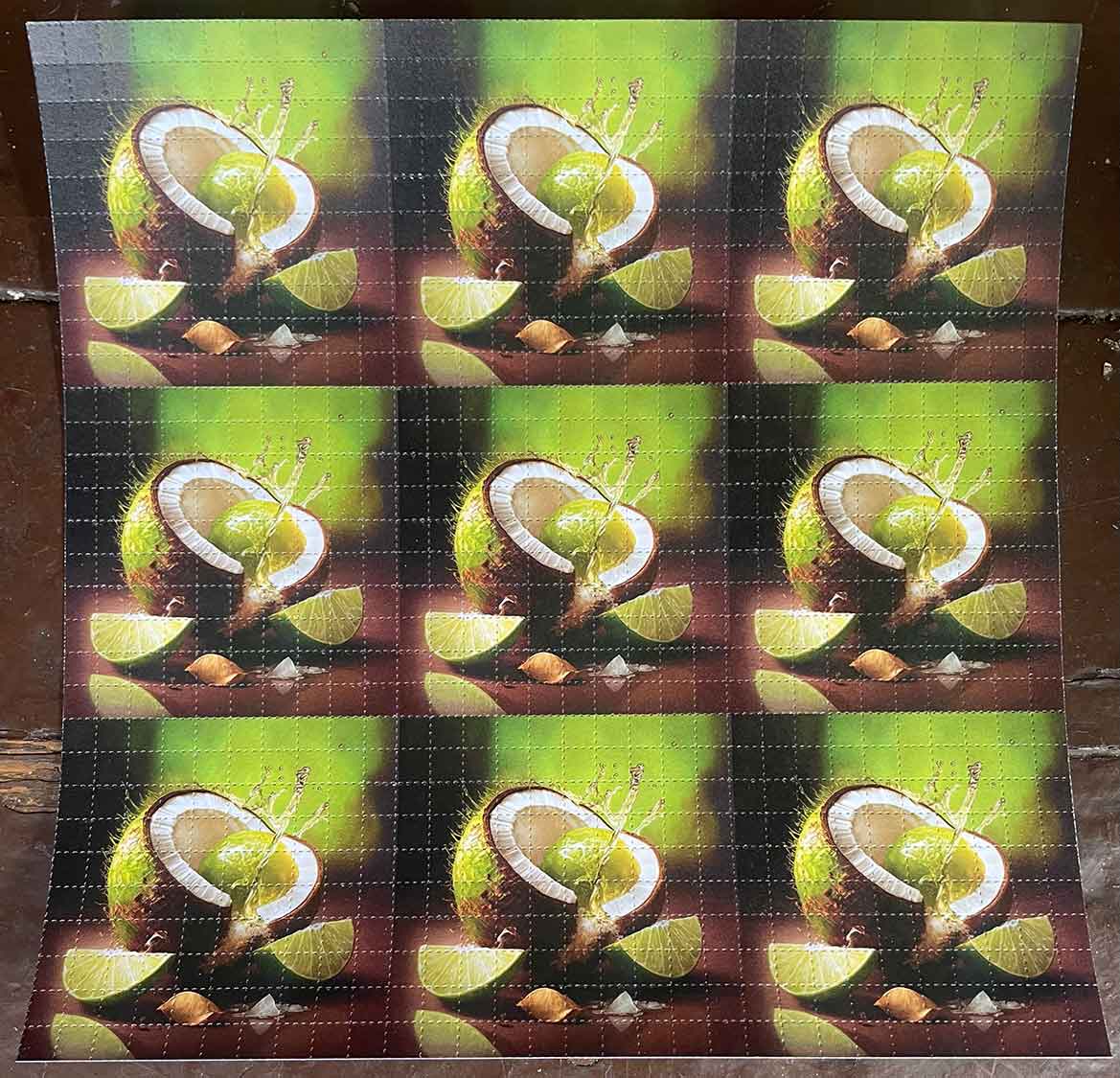 Lime In The Coconut Blotter Art